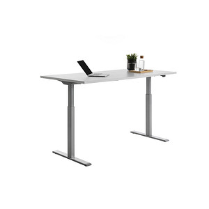Topstar E-Table elektrisch höhenverstellbarer Schreibtisch lichtgrau rechteckig, T-Fuß-Gestell grau 160,0 x 80,0 cm Topstar E-Table elektrisch höhenverstellbarer Schreibtisch lichtgrau rechteckig, T-Fuß-Gestell grau 160,0 x 80,0 cm von Topstar