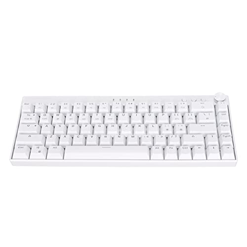 Mechanische Tastatur, RGB-LED-Hintergrundbeleuchtung Kabelgebundene Tastatur, 68 Tasten Mechanische Gaming-Tastatur Weiße Gaming-Tastatur Computertastatur mit DREI Modi (Brauner Schalter) von Tosuny