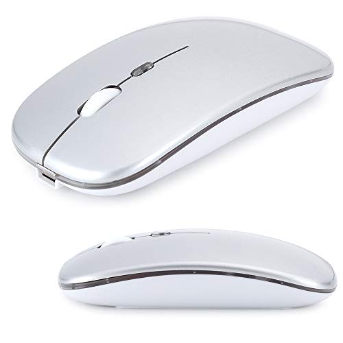 Tosuny M40 2.4G Wireless-Maus, 2.4G Slim Laptop Wireless-Mäuse, mit USB-Empfänger und Typ-C-Adapter für PC/Laptop/Mac/Desktop (Silber) von Tosuny