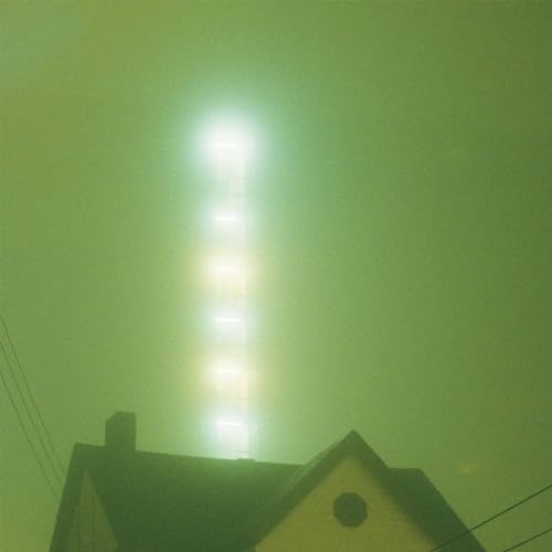 What Burns Never Returns (25th Anniversary Edition [Vinyl LP] von Touch & Go / Cargo