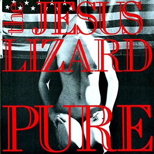 Pure [Remasterd] [Deluxe Edition] [Bonus Track] [VINYL] [Vinyl LP] von Touch & Go Records