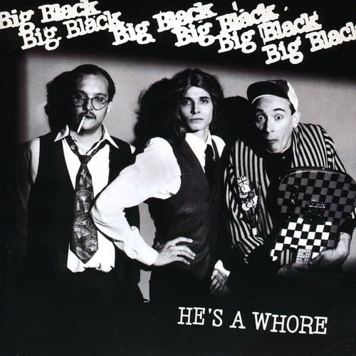 He's a Whore / the Model [Vinyl LP] von Touch & Go