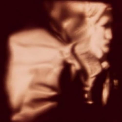 Harbinger [Vinyl LP] von Touching Bass / Indigo