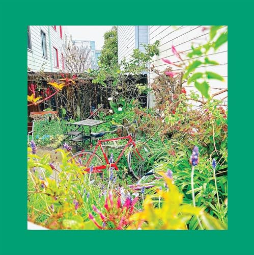 Unwishing Well Unwishing Well von Tough Love Records / Cargo