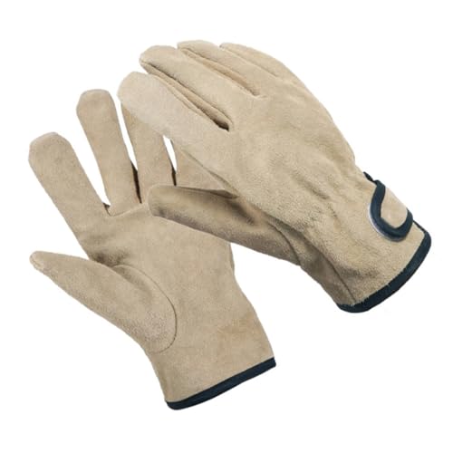 Toyvian 1Paar Hitzebeständige Gartenhandschuhe Rindsleder Verschleißfeste Schutzhandschuhe für Grillen und Outdoor Aktivitäten Einstellbares Design Sicherer Schnitten Toyvian 1Paar Hitzebeständige Gartenhandschuhe Rindsleder Verschleißfeste Schutzhandschuhe für Grillen und Outdoor Aktivitäten Einstellbares Design Sicherer Schnitten von Toyvian