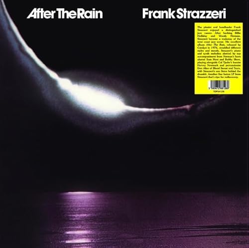 After the Rain After the Rain von Victrola