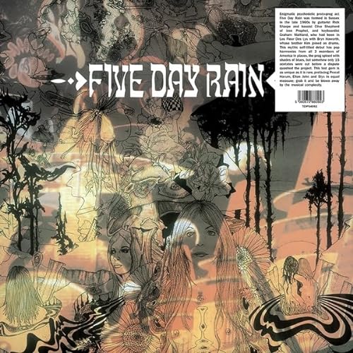Five Day Rain von Trading Places