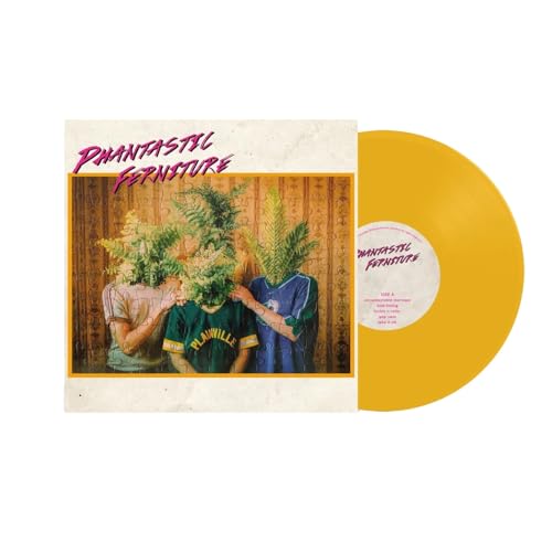 Phantastic Ferniture [Vinyl LP] von Transgressive