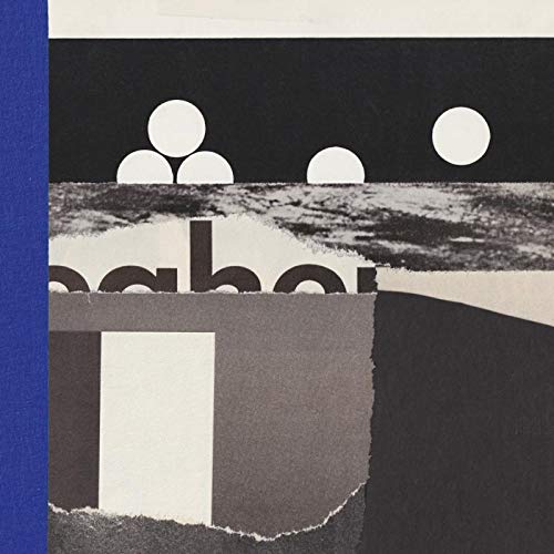Covers (LP) [VINYL] [Vinyl LP] von TRANSGRESSIVE