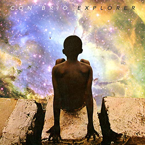 Explorer [Vinyl LP] von Transistor Sound