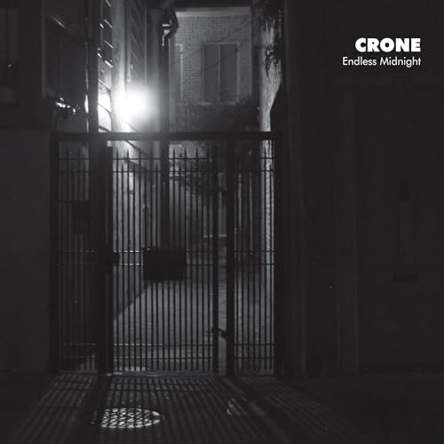Endless Midnight [VINYL] [Vinyl LP] von Translation Loss Records