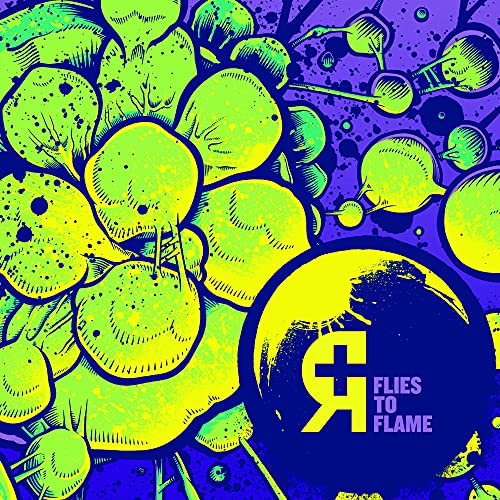 Flies to Flame [Vinyl LP] von VINYL