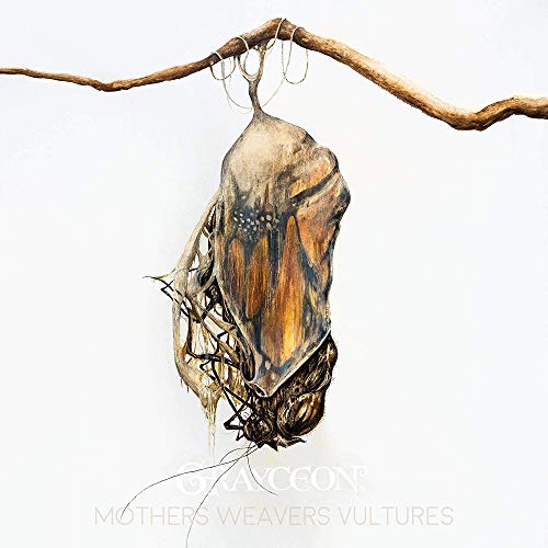 Mothers Weavers Vultures [Vinyl LP] von Translation Loss