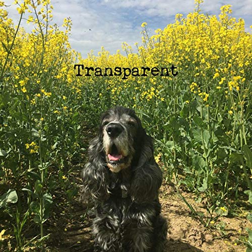 Transparent (12") [VINYL] [Vinyl LP] von Transparent