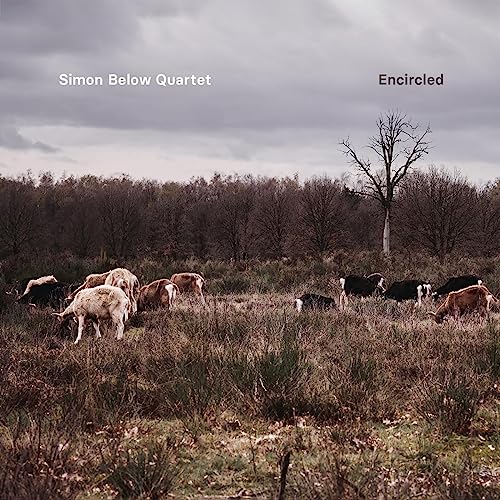 Encircled Encircled von Traumton / Indigo