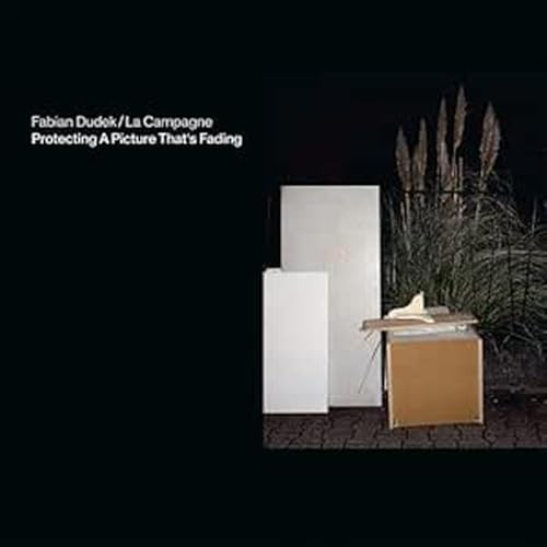 Protecting a Picture That'S Fading Protecting a Picture That'S Fading von Traumton / Indigo