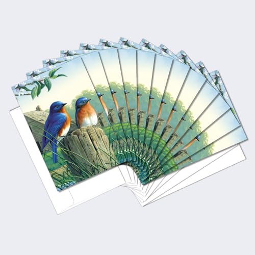 Baumfreie Grüße econotes blanko Note Karten, passende Briefumschläge, blanko Stationäre Card Set, 10,2 x 15,2 cm Morning Bluebirds, 12 Stück (fs66817) von Tree-Free Greetings