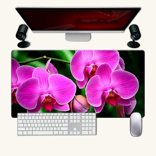 Treer 3D Anlage Drucken Gaming Mauspad, Mousepad mit Vernähte Kanten, Mauspad L/XL/XXL, rutschfeste Gummibasis Mousepad Gaming, Mode Mauspad Groß (900x400mm,Phalaenopsis) von Treer