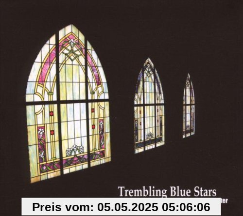 The Last Holy Writer The Last Holy Writer von Trembling Blue Stars