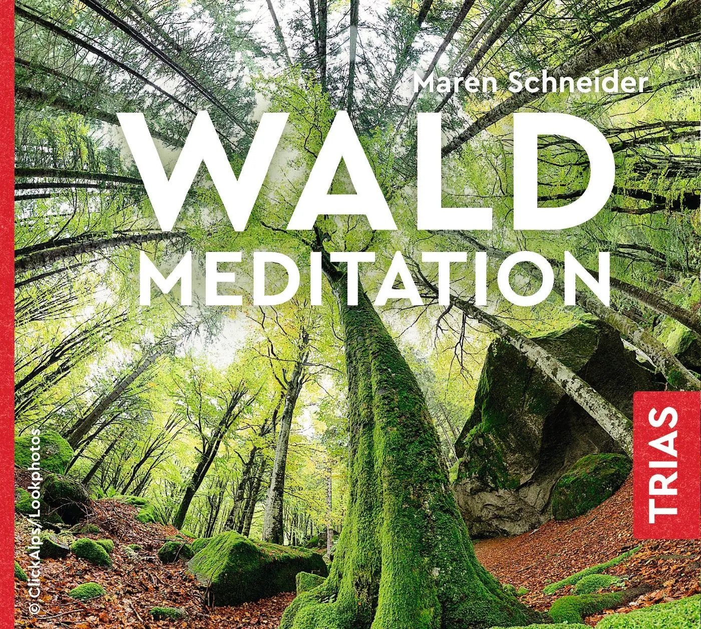 Trias Hörspiel Waldmeditation Trias Hörspiel Waldmeditation von Trias
