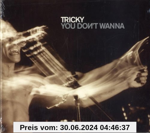 You Don't Wanna von Tricky