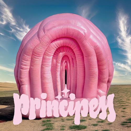 Principess [Vinyl LP] von Trikont / Indigo