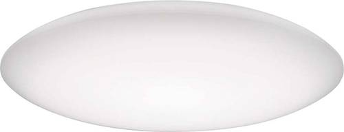 Trilux 6889500 Ersatzwanne Wanne 74R WD3 Ersatz 1St. von Trilux