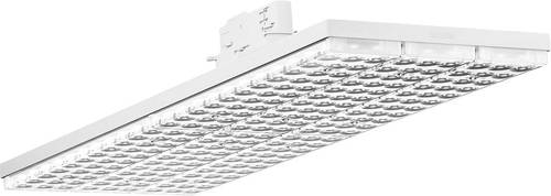 Trilux 7110051 LightP G2 #7110051 LED-Lichtträger 42W LED Weiß 1St. Trilux 7110051 LightP G2 #7110051 LED-Lichtträger 42W LED Weiß 1St. von Trilux