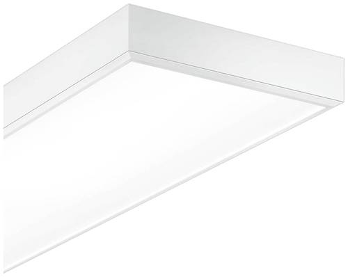 Trilux Actison Fit #7238151 7238151 LED-Sporthallenleuchte LED 136W Weiß von Trilux