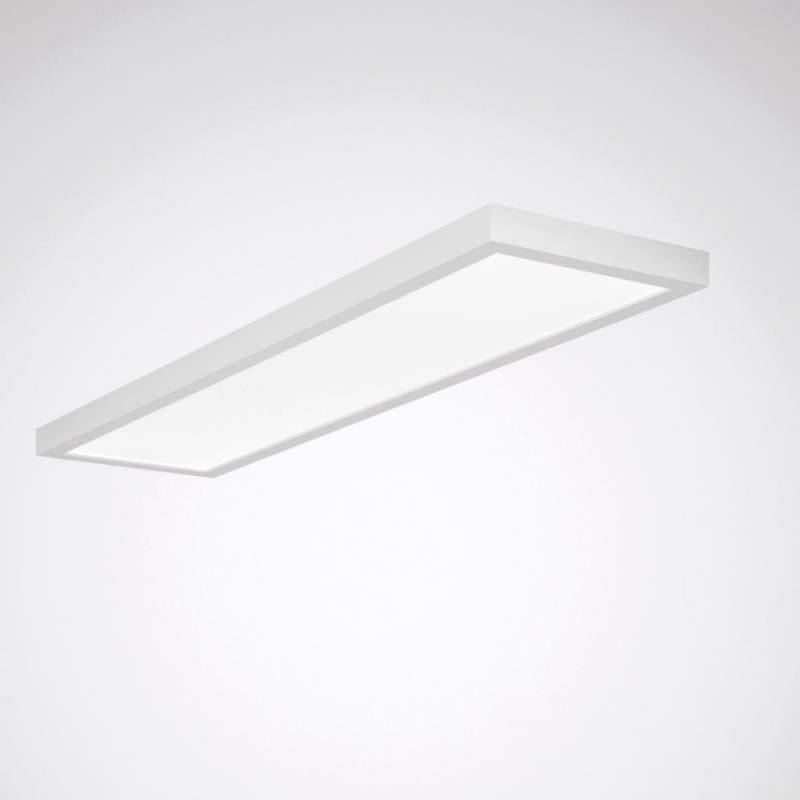 Trilux LED-Anbauleuchte Siella G5 D3#8157851 von Trilux