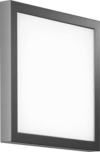 Trilux Skeo Pura #6886040 6886040 LED-Wandleuchte 18W LED Anthrazit Trilux Skeo Pura #6886040 6886040 LED-Wandleuchte 18W LED Anthrazit von Trilux