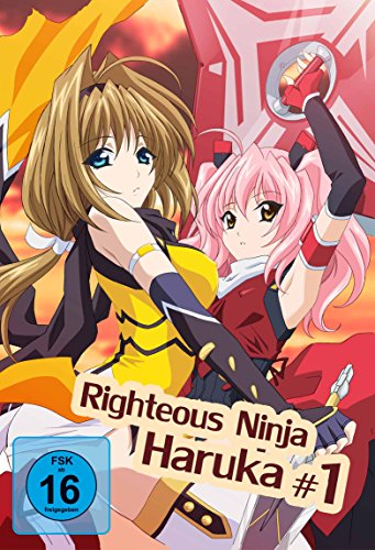 Righteous Ninja - Haruka 1 - (Hentai Movie) - [DVD] von Trimax (AV Visionen)
