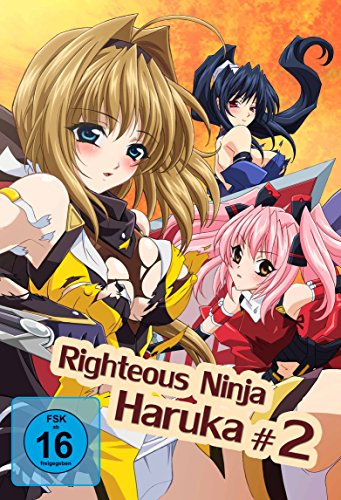 Righteous Ninja - Haruka 2 - (Hentai Movie) - [DVD] von Trimax (AV Visionen)