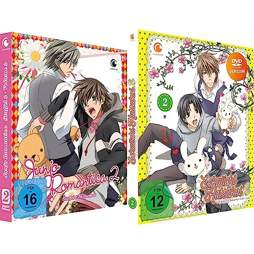 Junjo Romantica - Staffel 2 - Vol.2 - [DVD] & Sekaiichi Hatsukoi - The World's Greatest First Love - Staffel 2 - Vol.2 - [DVD] von Trimax