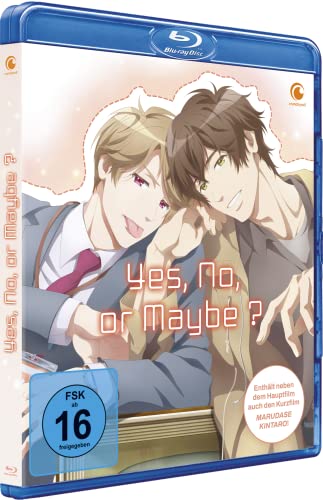 Yes, No, or Maybe? - The Movie - [Blu-ray] von Trimax