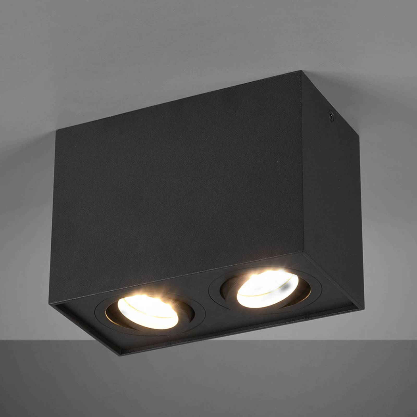 Deckenleuchte Biscuit, zweiflammig, schwarz Deckenleuchte Biscuit, zweiflammig, schwarz von Trio Lighting