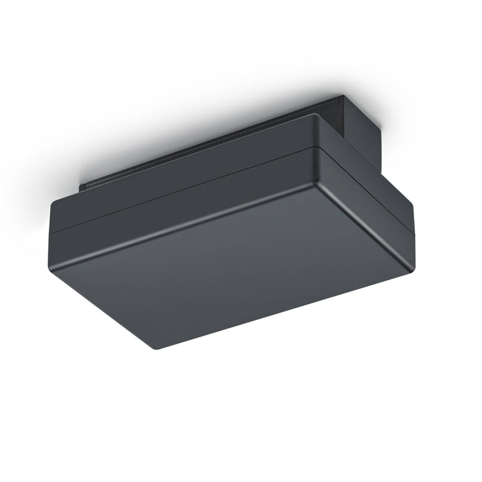 Flex-Einspeisung für DUOline-Schiene, schwarz Flex-Einspeisung für DUOline-Schiene, schwarz von Trio Lighting