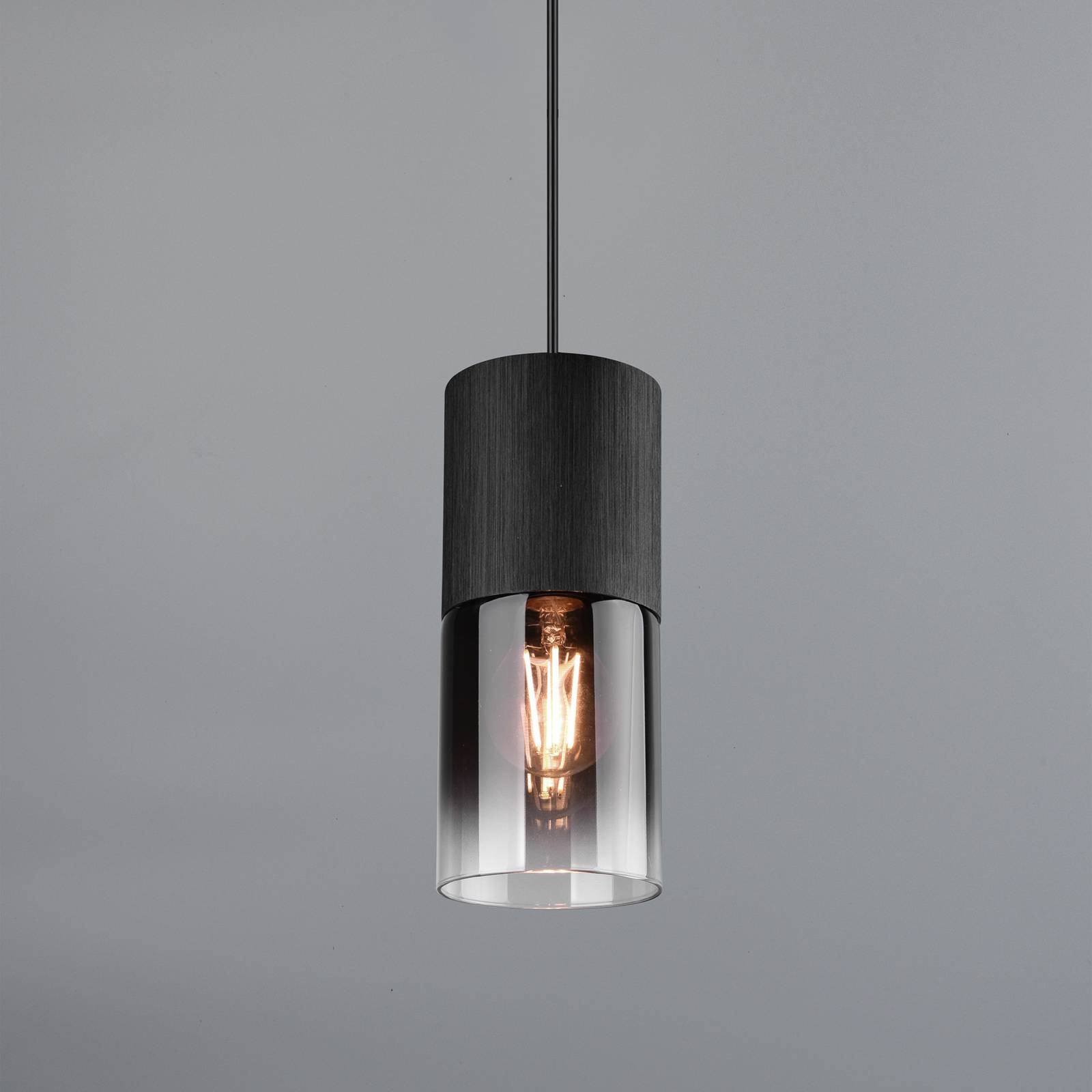 Schienen-Hängeleuchte Robin für DUOline, schwarz/rauchgrau von Trio Lighting
