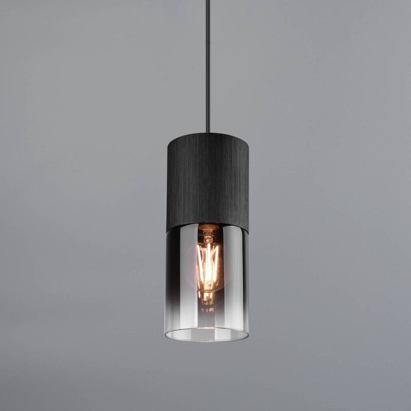 Schienen-Hängeleuchte Robin für DUOline, schwarz/rauchgrau von Trio Lighting