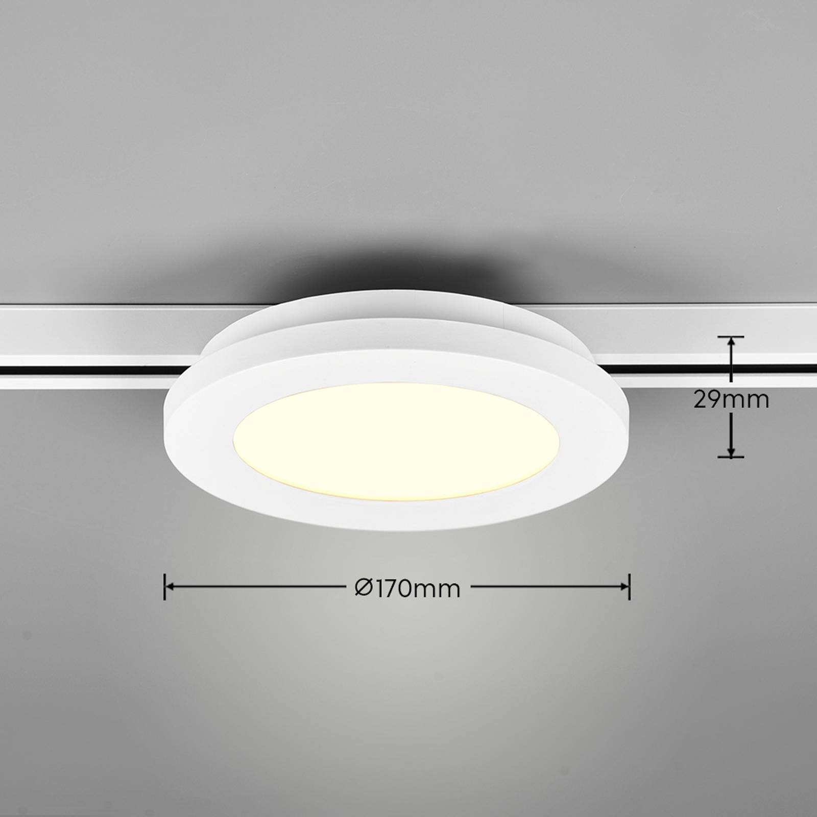 LED-Deckenlampe Camillus DUOline, Ø 17 cm, weiß von Trio Lighting