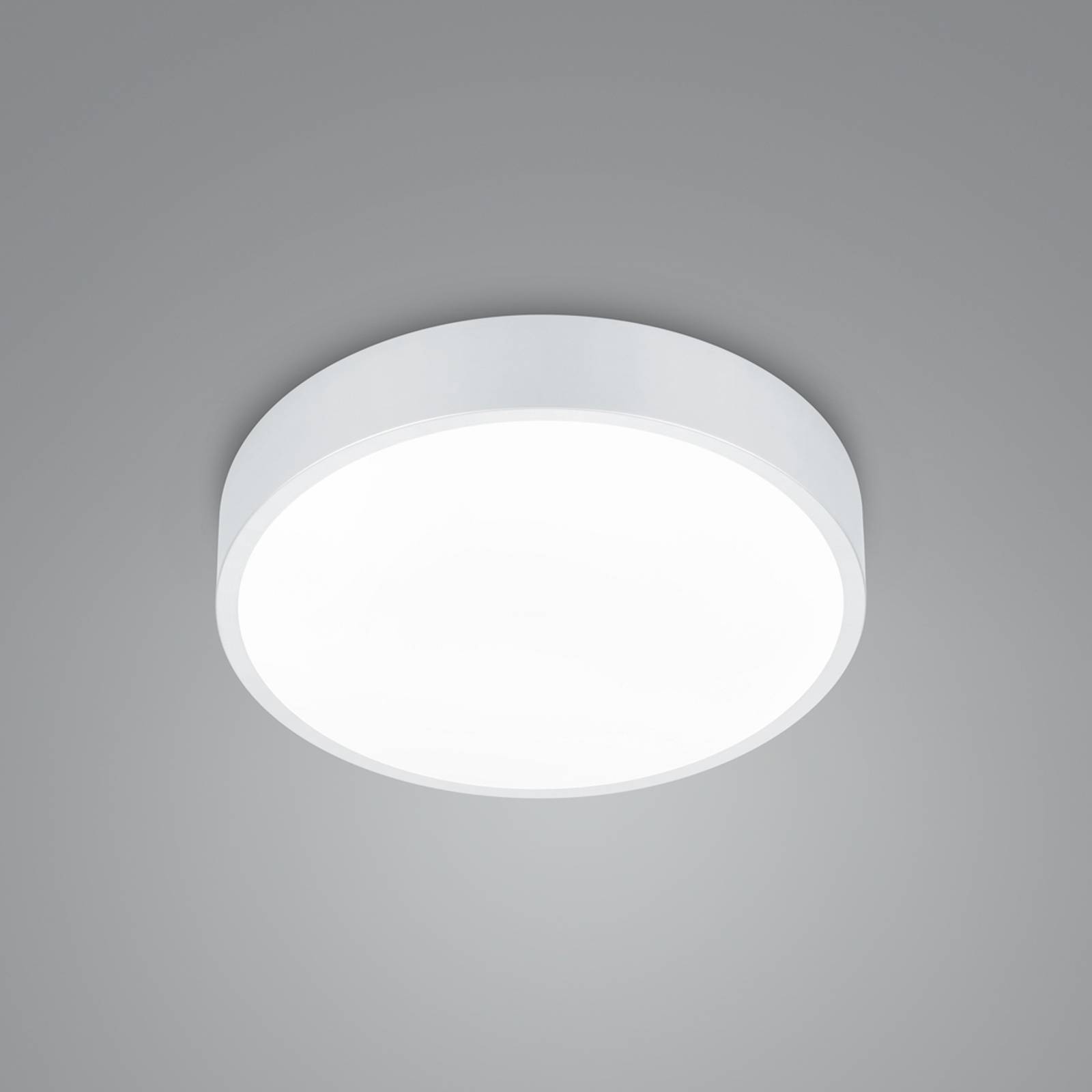 LED-Deckenlampe Waco, CCT, Ø 31cm, weiß matt von Trio Lighting