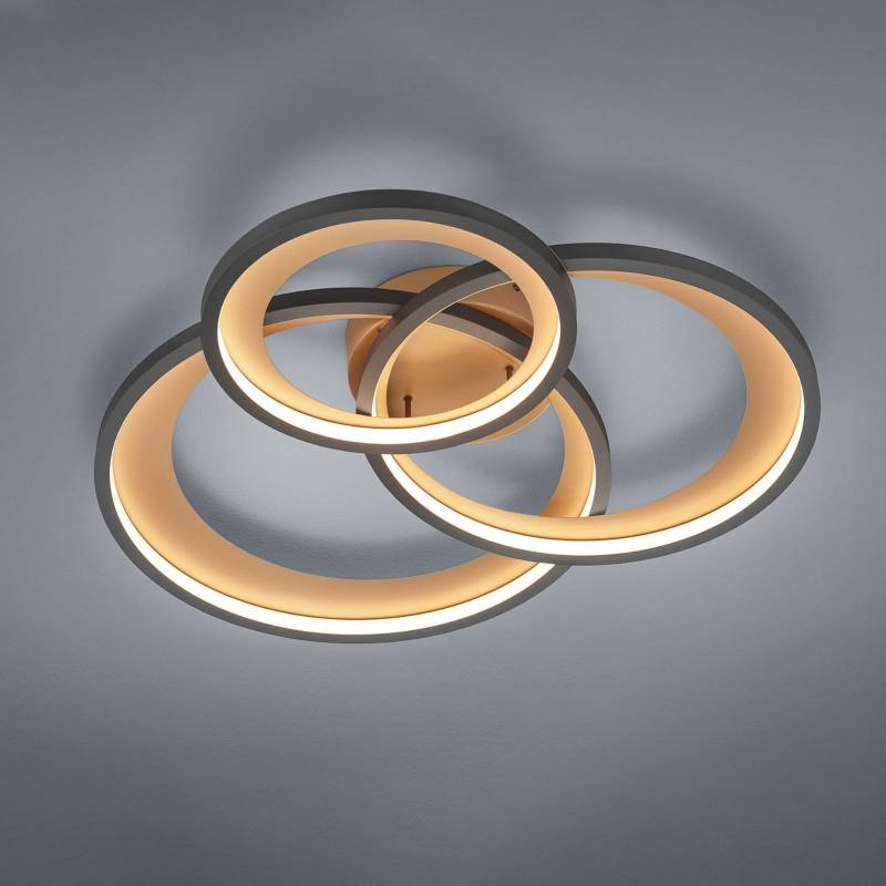 LED-Deckenleuchte Granada, schwarz matt/gold von Trio Lighting