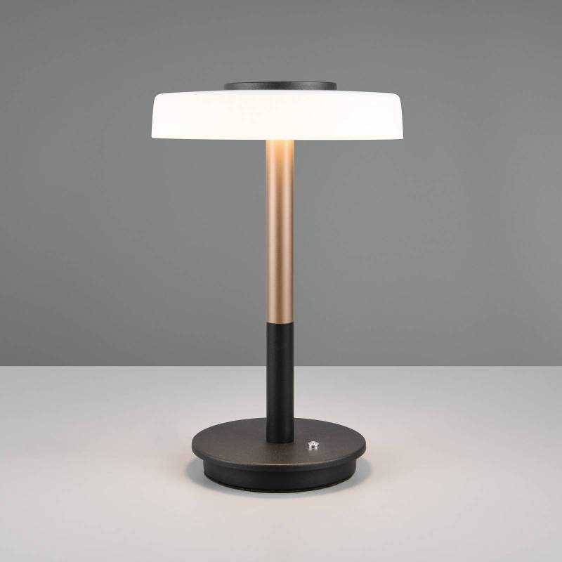 LED-Tischlampe Celeste weiß/braun 35 cm Glas/Metall Touchdim von Trio Lighting