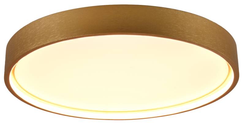 TRIO LED-Deckenleuchte Doha 641310208 Messing-matt, 29 W, 3260 lm, CCT von Trio