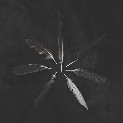 Dust And Disquiet [Vinyl LP] von The Orchard