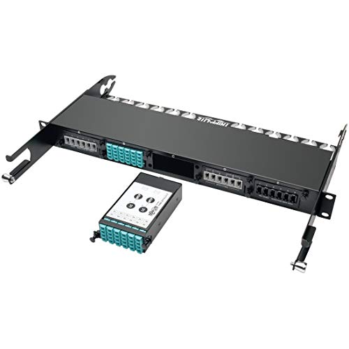 Tripp Lite N482-2M12-LC12 40 Gb bis 10 Gb Breakout-Kassette - (x2) 12-Faser OM4 MTP/MPO (Stecker mit Pins) bis (x12) LC von Tripp Lite