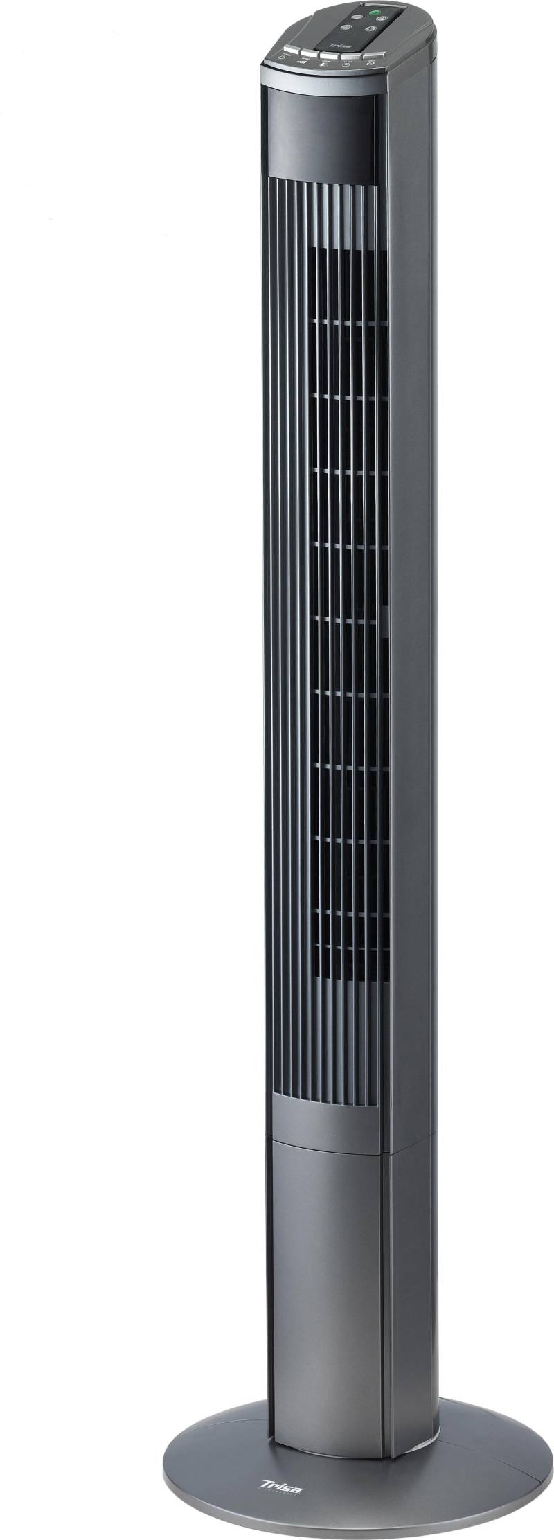 Trisa Electronics 9346.4310 Haushaltsturmventilator 45W Grau - Silber Ventilator (9346.4310) von Trisa