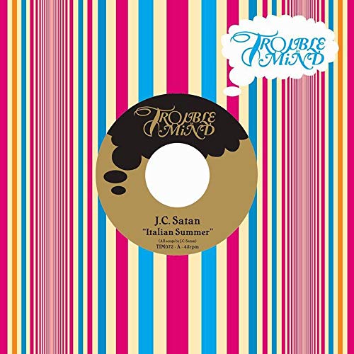 Italian Summer/I Don't Feel Li [Vinyl Single] von Trouble in Mind