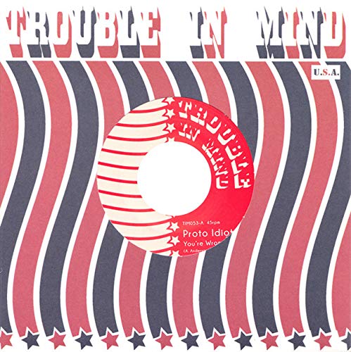 You're Wrong/You Can't Hide [Vinyl Single] von Trouble in Mind