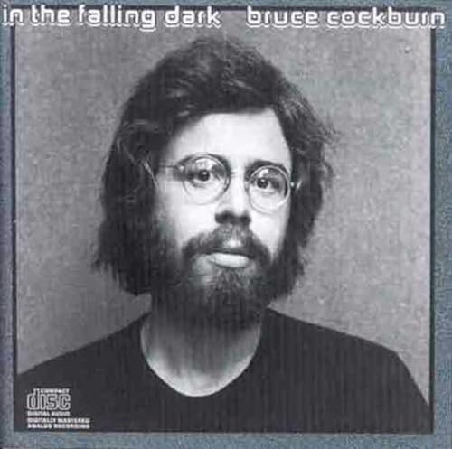In the Falling Dark (Deluxe) von True North
